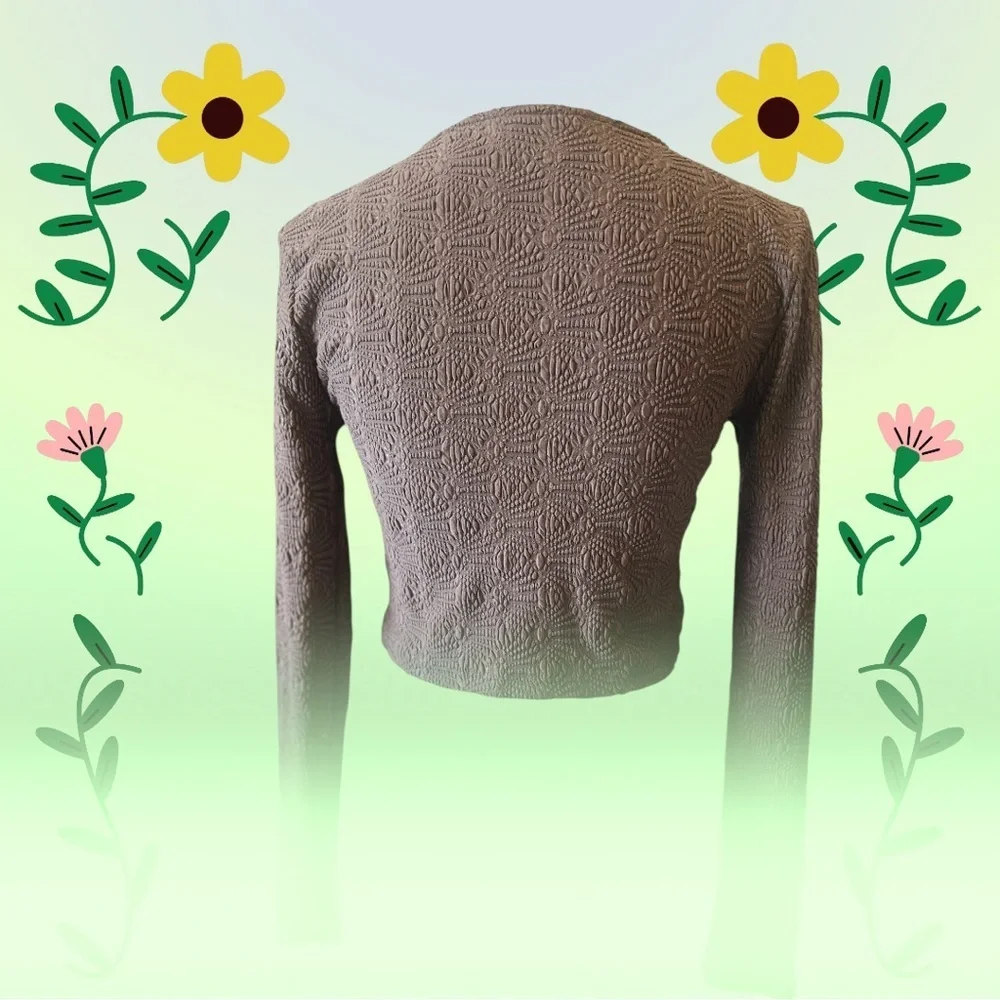 Zara Brown Fitted Long Sleeve Crop Top
